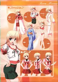 Primitive Link Visual Fanbook