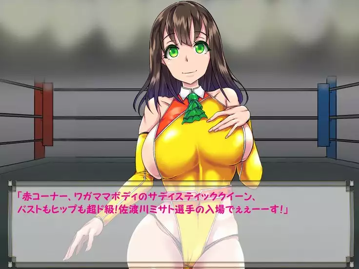 ドMプロレス2 画像集