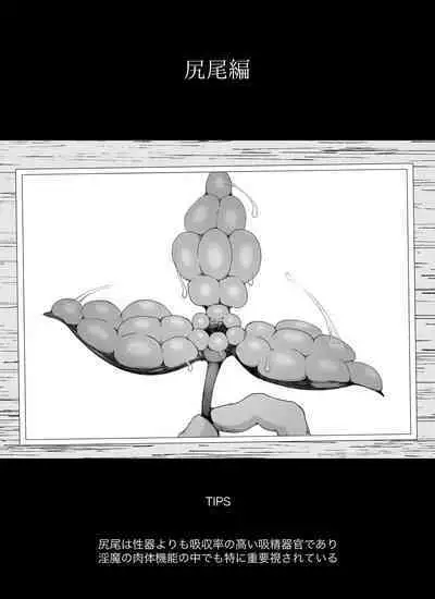 [イキヌキ。] 【尻尾編】魔道具屋の局部責め調教日誌