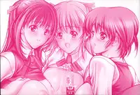 [Kyoya Araki] Cherry Hunter of Rumor