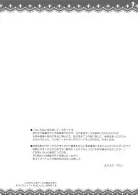 [Reverse Noise (Yamu)] Usagi wa Itsudemo Hatsujouki (Touhou Project)