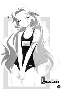 (C74) [MAKA-RAKKO (Matsushita Makako, Rakko)] C no Sekai (CODE GEASS: Lelouch of the Rebellion)