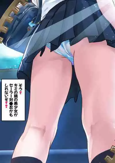 [アリオンキャンバス] 牝ブタ戦記セーラー対●忍参る (美少女戦士セーラームーン) [DL版]【Ver4.1】