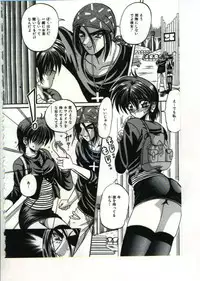 [Appleton] Fairy Paradise