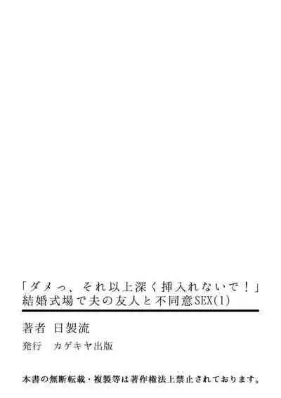 [Nichi Ryū / Hikaru] 