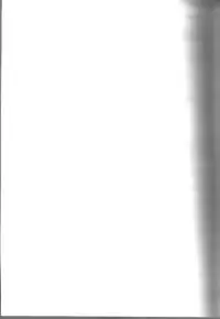 Fujun Isei Kousai no Susume