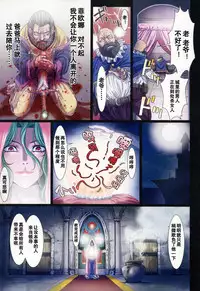 (C88) [STUDIO PAL (Nanno Koto)] Other Zone 5 ~Nishi no Majo~ (Wizard of Oz) [Chinese] [坏人卡]