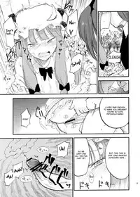 (Reitaisai 10) [Shironegiya (miya9)] Cloudy Sky Library (Touhou Project) [English]