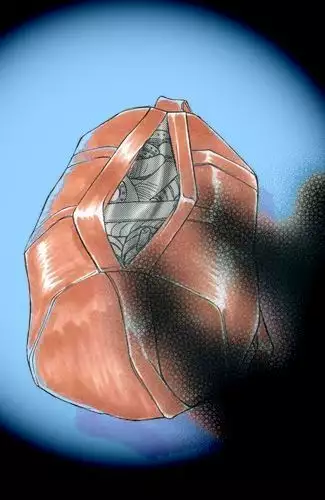 RTK Book Ver. 8.1: “‘Tsuki’ Monogatari Daiichiwa ‘Hitagi Crab’”