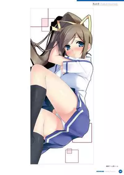 Kantoku Publicity Visual book