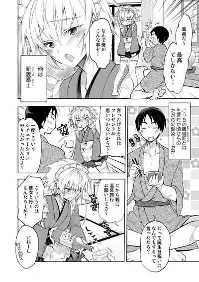 Niizuma-kun wa Kyou mo Gohoushi Wa Maid Hen