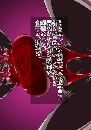 ドミギュラス・レポート