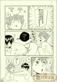 (C88) [Parade (Isoya Kashi)] Ore no Kareshi ga Inu ni Toritsukaremashite. (Haikyuu!!)