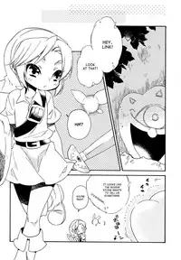 (Shota Scratch 18) [Usamimi Zukin (Kosuzu)] Himitsu no Naisho (The Legend of Zelda) [English] =SW=