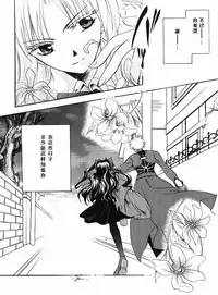 (Mimiket 10) [RED DATA BOOK (Amano Ryuuki)] Albireo (Fate stay night) [Chinese]