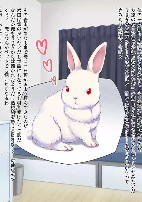 Hatsujou Usagi ga Yatte Kuru