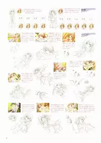 Canvas Visual Fan Book