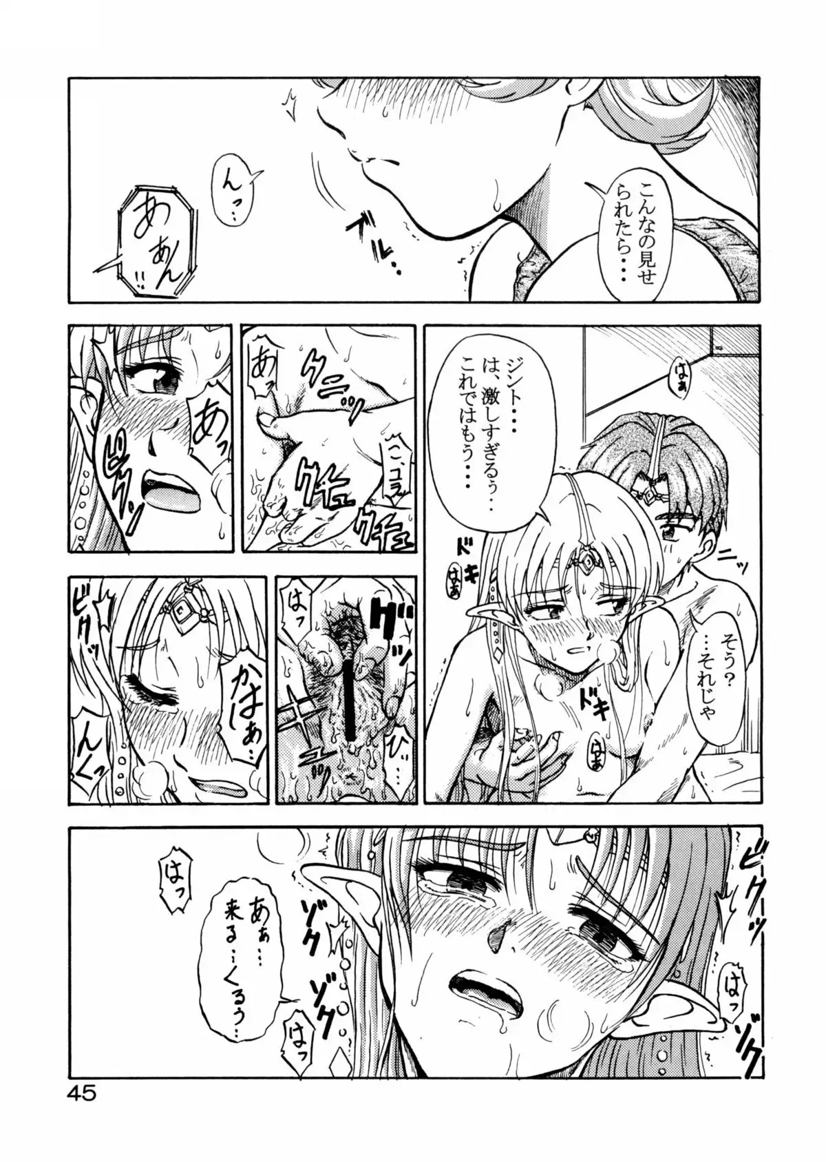 Tsuihou Kakugo Special Edition-Phase2-