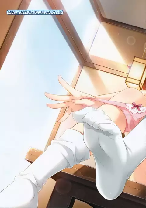 Amakoi Syrups Visual Fan Book