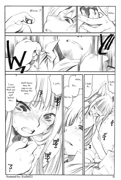 (C72) [Emode (Sanada Rin)] Shiawase o Ushinau no Naraba Kinyoku Nado Gu no Kocchou (Spice and Wolf) [English]