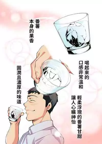 Panpan Travelers Hakata Shuudan Rape Ryokou Full Color | 吃飯兼炒飯TRAVELERS～博多集團強●旅行