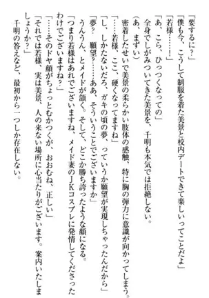 年上メイドの新婚日記