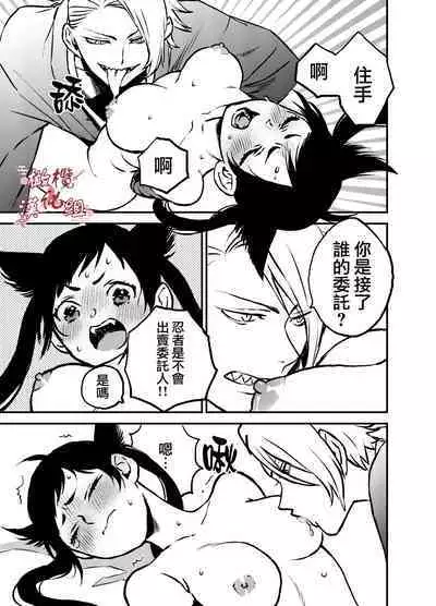 Ninja Tsurugi | 忍者鹤城