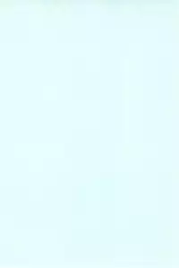 (CR28) [Izumiya] Blow Up 8 (Digimon Adventure 02)