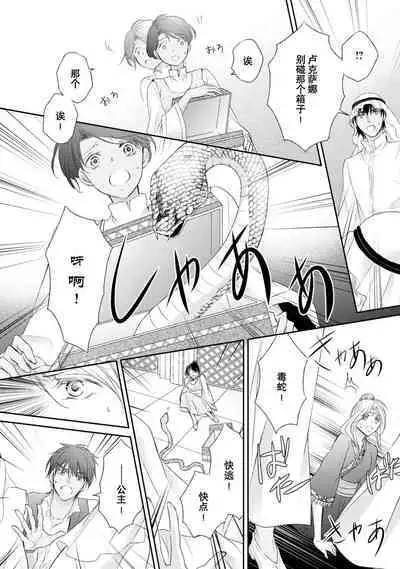 sabaku no ōji to kaizoku hime | 沙漠王子与海盗公主