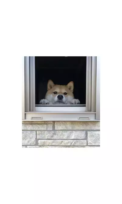 [Ominaeshi] Konna Osananajimi ga Ite hoshii | 想要这样的青梅竹马 [Chinese] [无糖·漫画组]