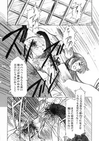 [HenReiKai] Sakura Ame Ver. Final 0.0 ~Croquis~ (Card Captor Sakura)