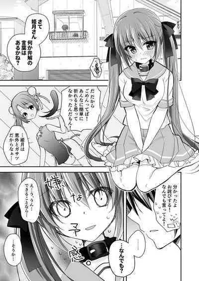 Imouto Choukyou Nikki Sairokushuu