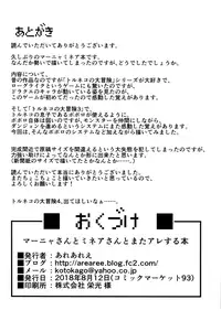 (C94) [Arearee] Manya-san to Minea-san to Mata Are Suru Hon | Another Manya And Minea Doing You-Know-What Book (Dragon Quest IV) =The Lost Light + Red Lantern=