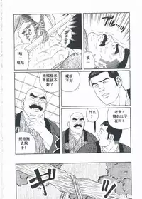 [Gengoroh Tagame][田龟源五郎] Shirogane-no-Hana The Silver Flower vol.2[银之华] [Chinese]