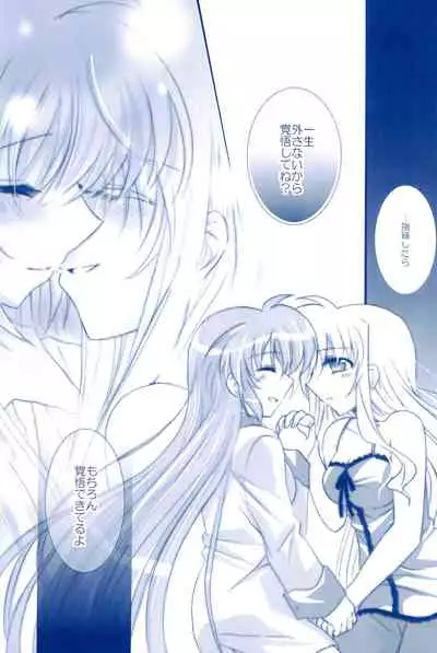 (C85) [Ameiro (Nanashiki)] Love Forever -NanoFei nano Sairoku-shuu 2- (Mahou Shoujo Lyrical Nanoha)