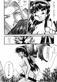 (C45) [D.D.GAPS (various)] HG Vol.1 Samurai Nihondai Katsugeki (Samurai Spirits)