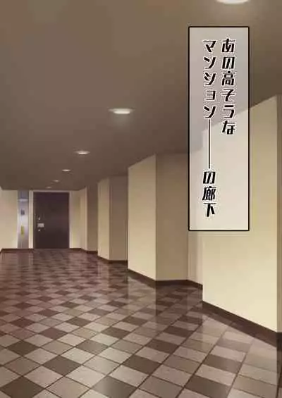 Hitozuma o Sennou Shite Haramase Netoru Hanashi