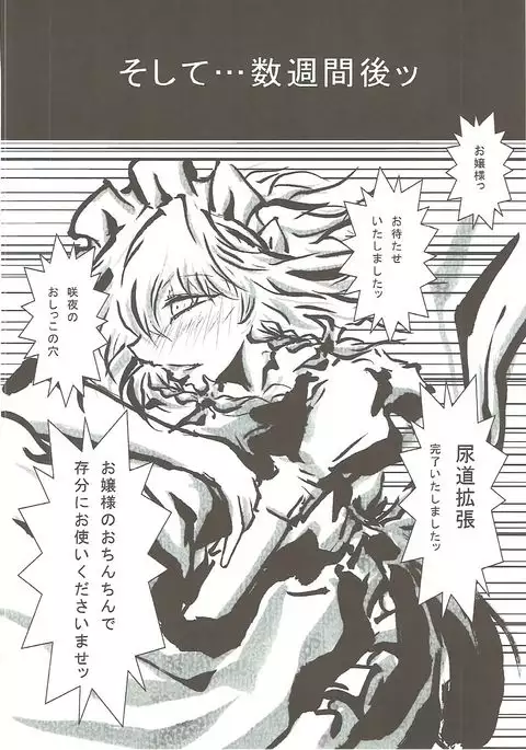 Sakuya-san no Oshikko no Ana Goudou ~Koko no Ana ga Mitai!~