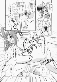 (C71) [CHAGASHI SAIBAN (Yamabuki Mook)] Super Supaiorora No Bikkuri Doki Doki Daisakusen (AliceSoft)