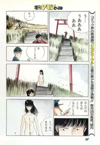 Lemon People 1987-03 Zoukangou Vol. 70 All Color