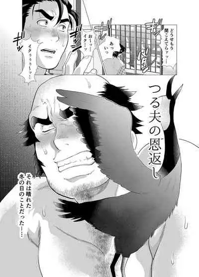 Tsuru Otto no Ongaeshi