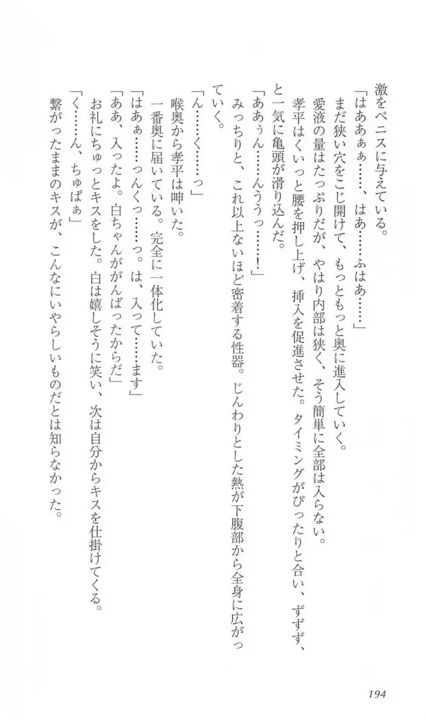 FORTUNE ARTERIAL 白編