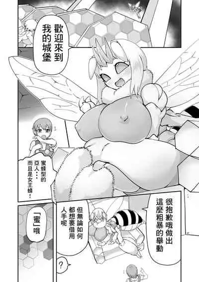 Hachi no Mitsu 々 Mitsu Shibori