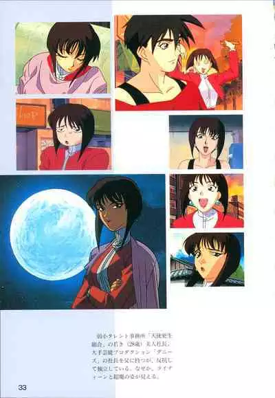 This is Animation Pocket- Chouja Reideen Character Book