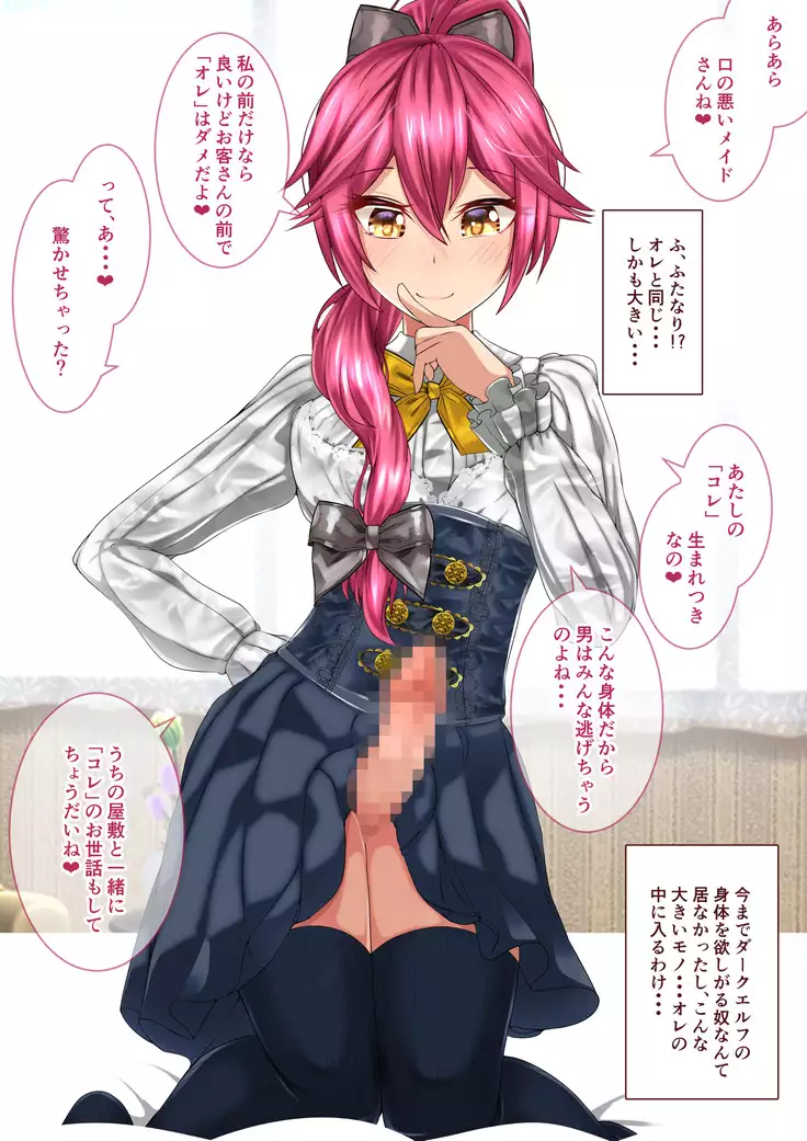 Furyo Futanari Dakuerufumeido-san wa Hontoha Aisaretai