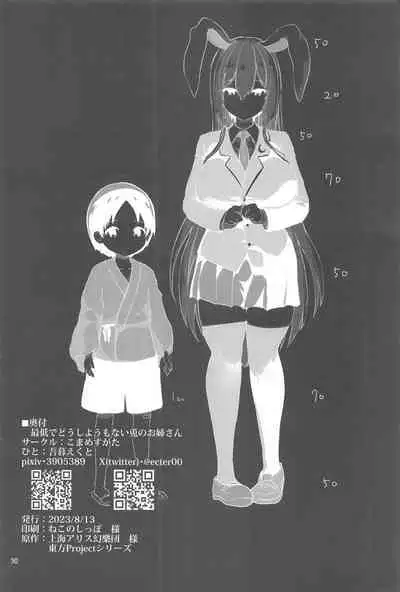 (C102) [Komamesugata (Akure Ekuto)] Saitei de Dou Shiyou mo Nai Usagi no Onee-san - A bad rabbit singing a hymn. (Touhou Project)