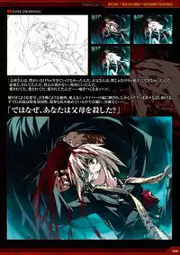 Dies irae Visual Fanbook - Red Book (Resale Version)