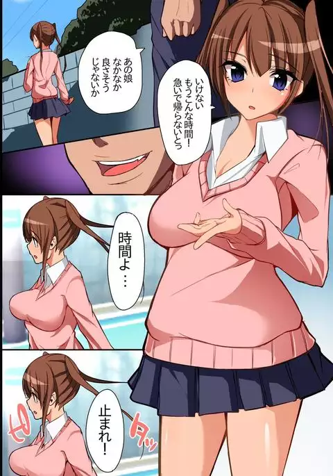 Nyotai Collector ~ Ano Ko mo Jikan Teishi de Muteikou ni Shite Hamemakure!