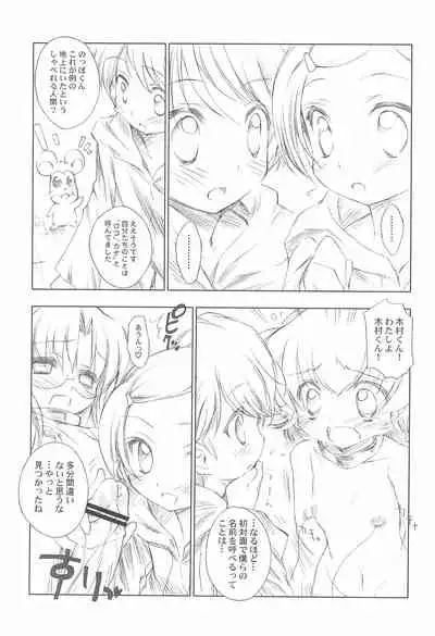 BATTLE FOR THE PLANET OF THE HAMS