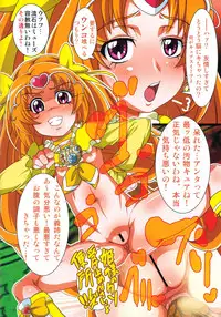 (C82) [Irekubadou (Poni., Andou Hiroyuki] Irekubabon 2 (Precure Series)